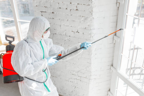 Professional Mold Inspection in Brownsville, TN