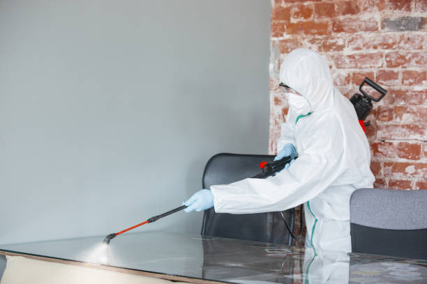 Mold Remediation for Rental Properties in Brownsville, TN